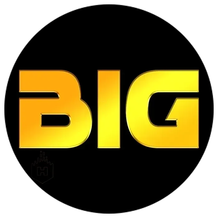 BIGHOKI - Pertarungan Seru di Dunia Aksi